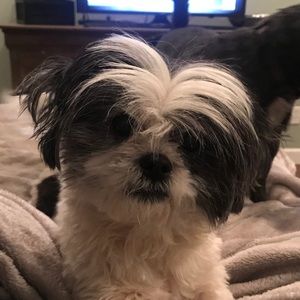 Meet your Posher, Emily